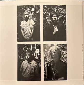 2LP Sonic Youth: Hold That Tiger