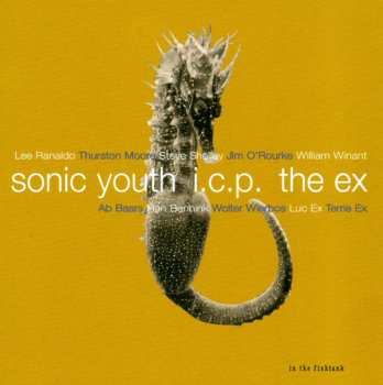 Album Sonic Youth: In The Fishtank 9