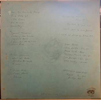 2LP Sonic Youth: Live In Brooklyn 2011 LTD