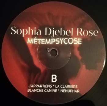 LP Sophia Djebel Rose: Métempsycose 334184