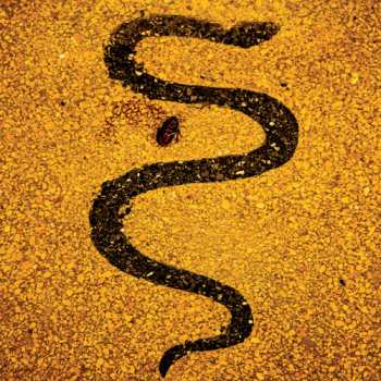 3CD/DVD Soror Dolorosa: Apollo / Rive Gauche DLX | LTD