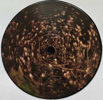 LP Spencer Krug: Twenty Twenty Twenty Twenty One