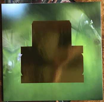 LP Spiritualized: Everything Was Beautiful™ DLX | LTD | CLR