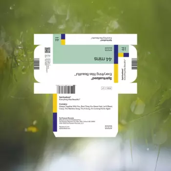 Spiritualized: Everything Was Beautiful