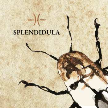 CD Splendidula: Splendidula 520903