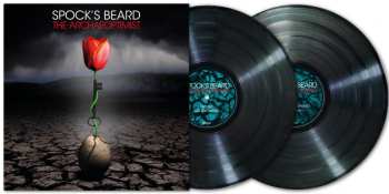 Album Spock's Beard: The Archaeoptimist