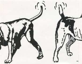 CD Sponge: Rotting Piñata