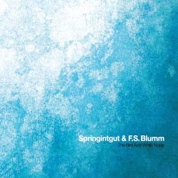 Album Springintgut: The Bird And White Noise