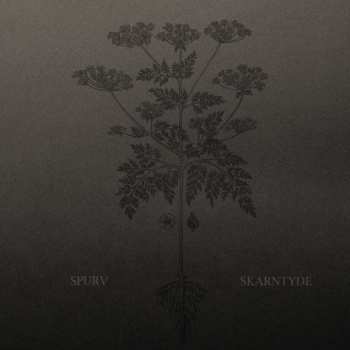 Album Spurv: Skarntyde