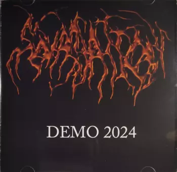 Squassation: Demo 2024