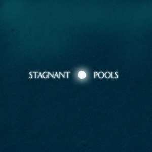 Album Stagnant Pools: Temporary Room