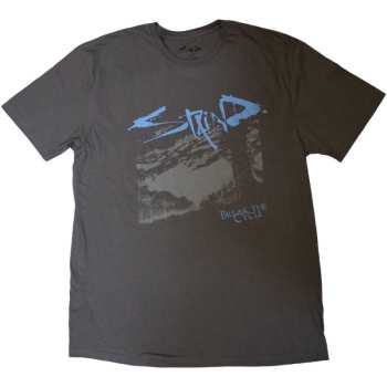 Merch Staind: Staind Unisex T-shirt: Break The Cycle (medium) M