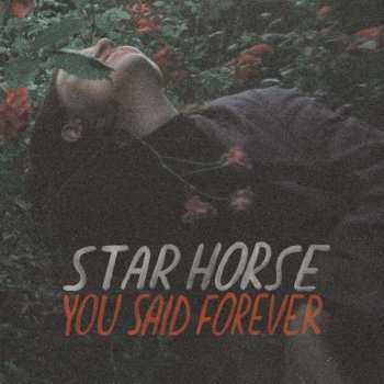 Album Star Horse: You Said Forever