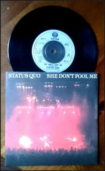 12SP/Box Set Status Quo: The Vinyl Singles Collection 1980-1984 LTD 315749