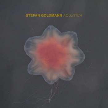 Album Stefan Goldmann: Acustica