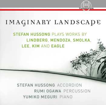Stefan Hussong: Imaginary Landscape