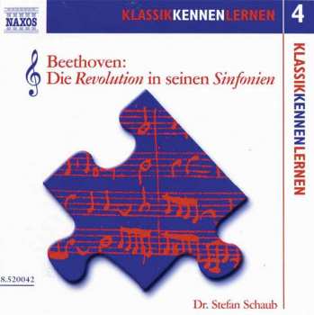Stefan Schaub: Beethoven: Die Revolution In Seinen Sinfonien