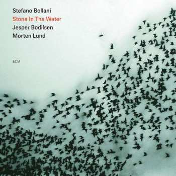 Album Stefano Bollani Trio: Stone In The Water
