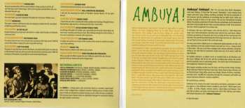 CD Stella Chiweshe: Ambuya ! 448495
