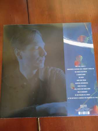 LP Steve Dawson: At The Bottom Of A Canyon In The Branches Of A Tree