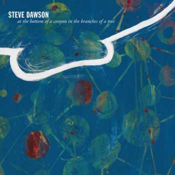 Album Steve Dawson: At The Bottom Of A Canyon In The Branches Of A Tree