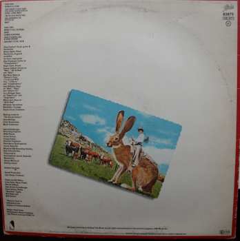LP Steve Forbert: Jackrabbit Slim
