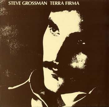 Album Steve Grossman: Terra Firma