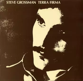 Steve Grossman: Terra Firma