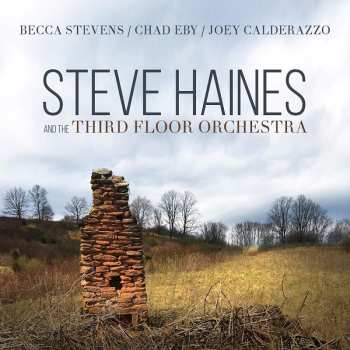 Album Steve Haines And The Third Floor Orchestra: Steve Haines And The Third Floor Orchestra