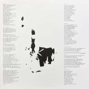 LP Steve Piccolo: Domestic Exile