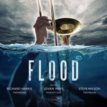 Album Steve / Richard H Wilson: Flood