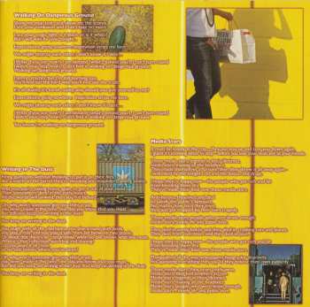 2CD Steve Swindells: The Lost Albums 299427