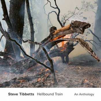 Album Steve Tibbetts: Hellbound Train (An Anthology)