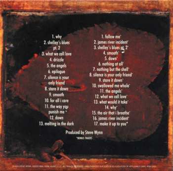 11CD/Box Set Steve Wynn: Decade 346668