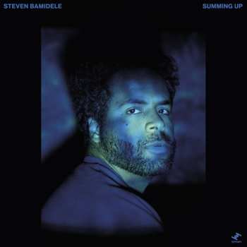 LP Steven Bamidele: Summing Up 497030