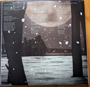 2LP Steven Wilson: The Raven That Refused To Sing (And Other Stories) 375827