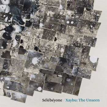 Album Steve/selebeyone Lehman: Xaybu: The Unseen