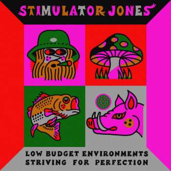 Album Stimulator Jones: Low Budget Environments Striving For Perfection