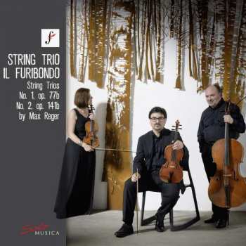 Album String Trio Il Furibondo: String Trios