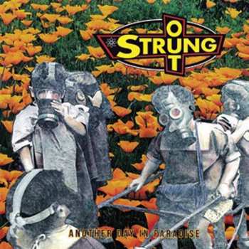 CD Strung Out: Another Day In Paradise 241188