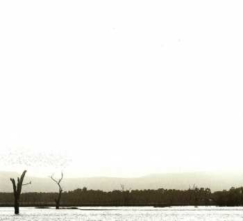 CD Stu Larsen: Resolute