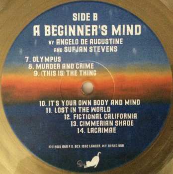 LP Sufjan Stevens: A Beginner's Mind LTD | CLR 139799