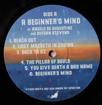 LP Sufjan Stevens: A Beginner's Mind 540048