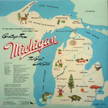 2LP Sufjan Stevens: Greetings From Michigan: The Great Lake State 430347