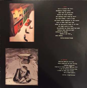 2LP Sunny Day Real Estate: Diary