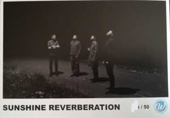 LP Sunshine Reverberation: What Is Real 529277
