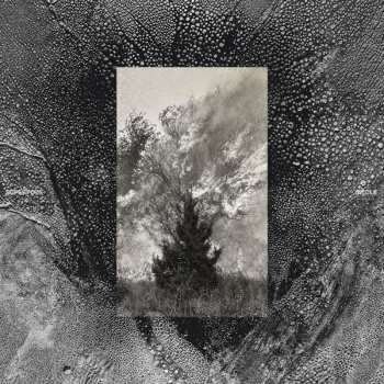 CD Superpoze: Siecle