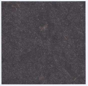 2CD/DVD Swans: Birthing