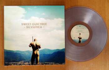 LP Sweet Gum Tree: Silvatica CLR 489777