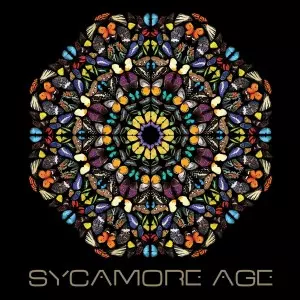 Sycamore Age